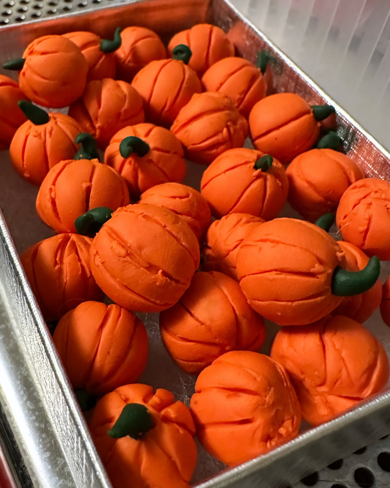 Autumn Harvest